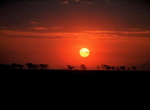 落日と象 ケニア アンボセリ