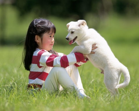 女の子と犬