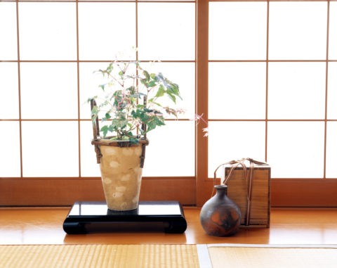 和室 窓辺の鉢植えと陶器