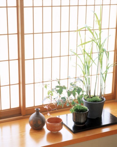 和室 窓辺の鉢植えと陶器