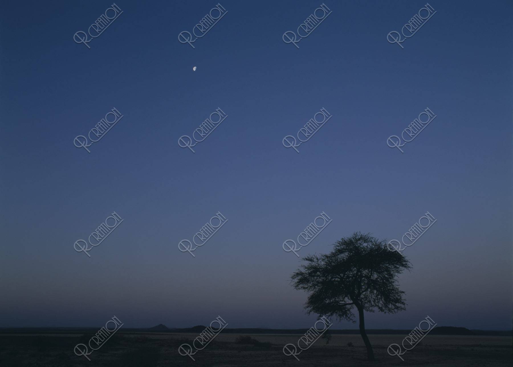 ネフド砂漠の朝と月