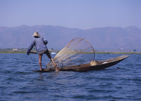インレー湖 インダー族の漁師