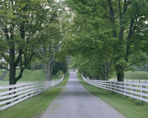 白い柵と新緑の道 Ｎ．Ｈ．州