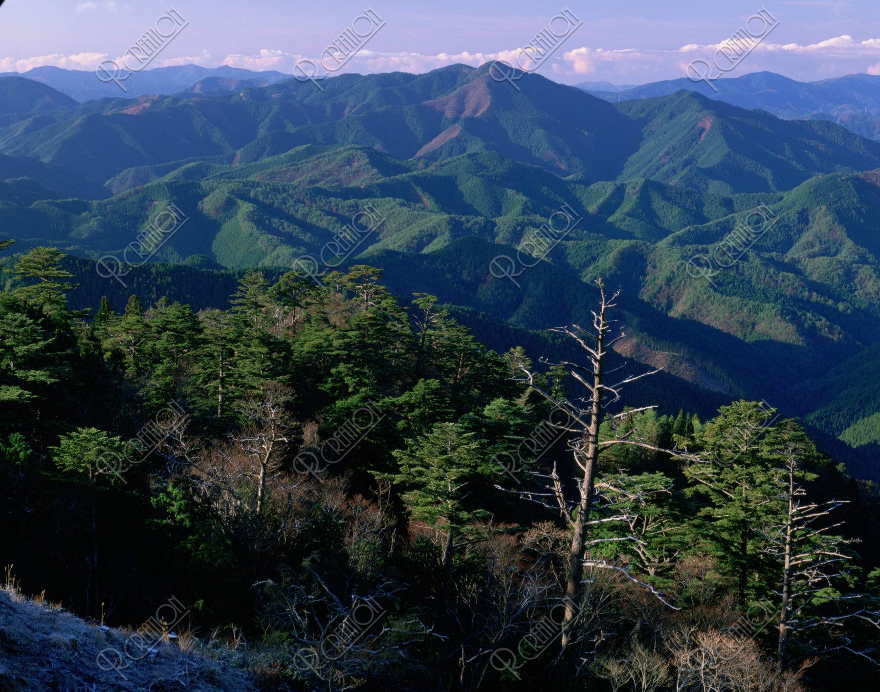 高野山 弁天岳からの西方山並