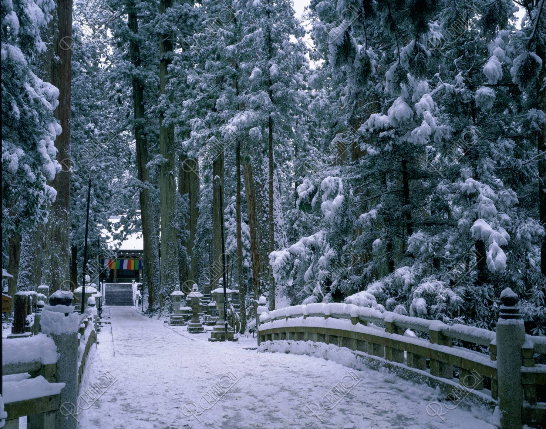高野山 雪の奥の院参道 Ｗ