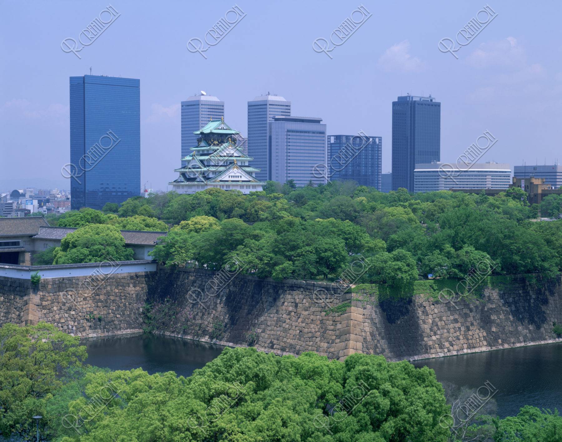 新緑の大阪城と高層ビル