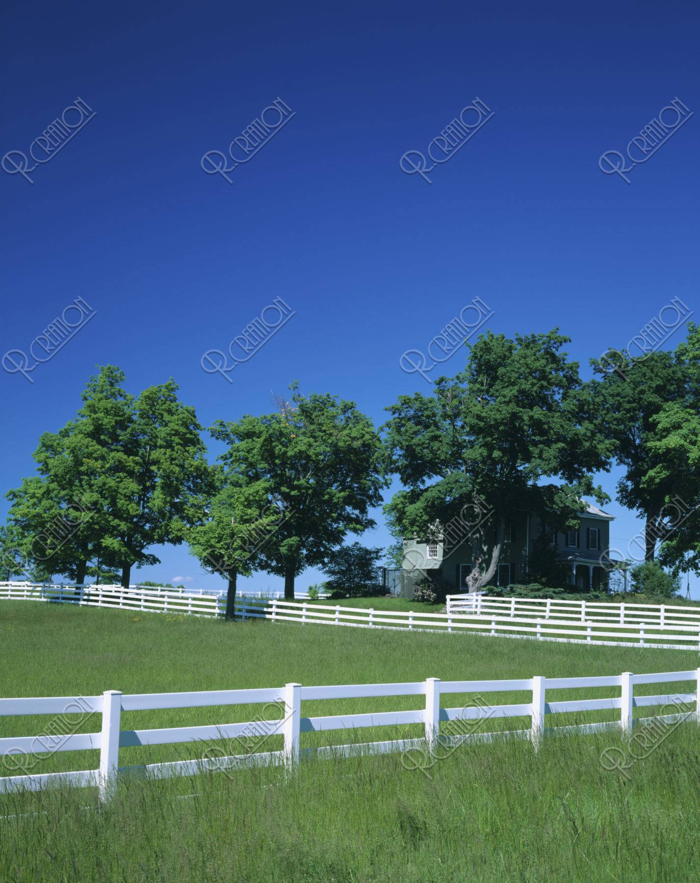 白い柵と樹木と家