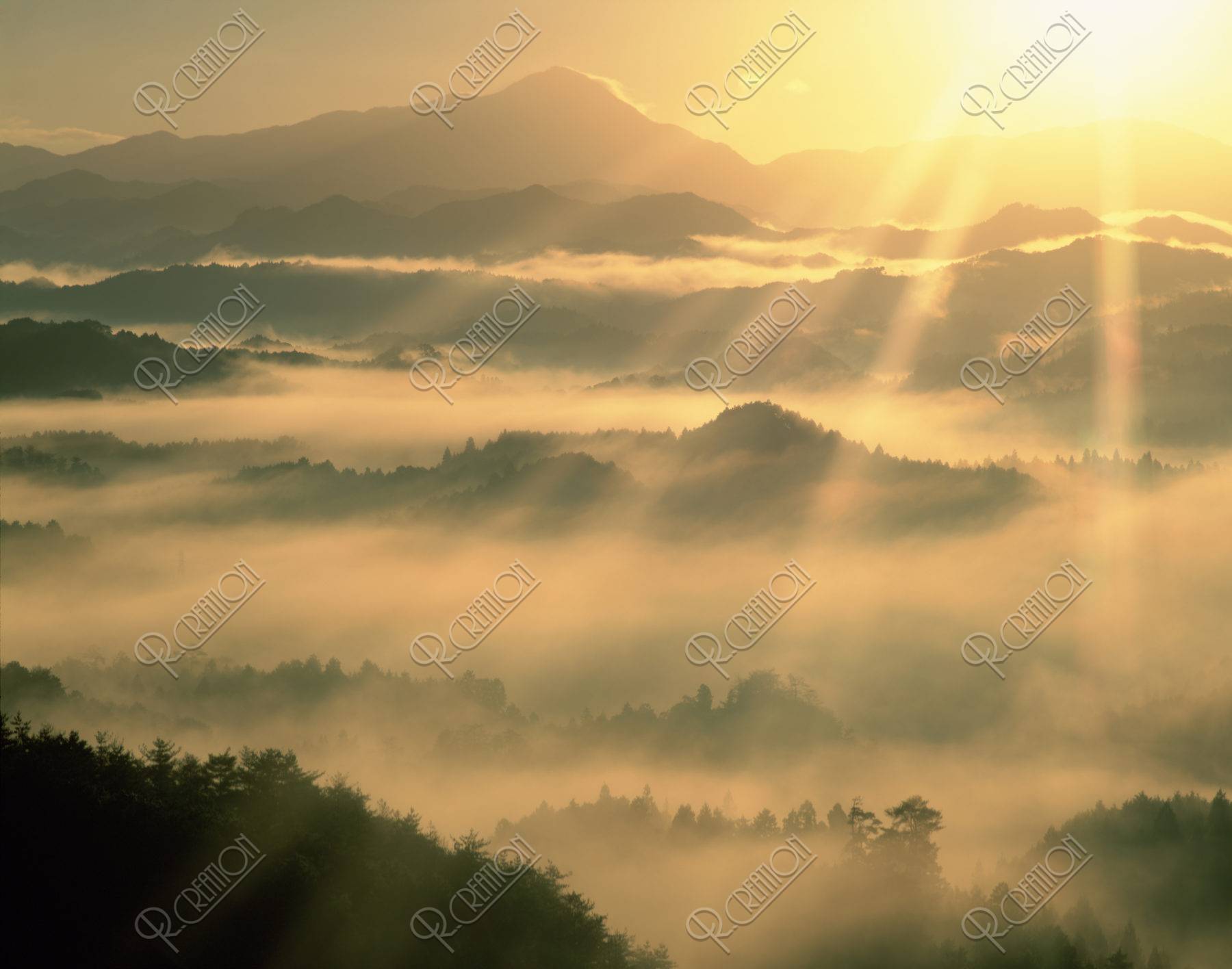 阿騎野の朝霧と光芒