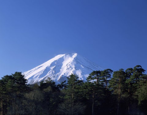 松林と富士山