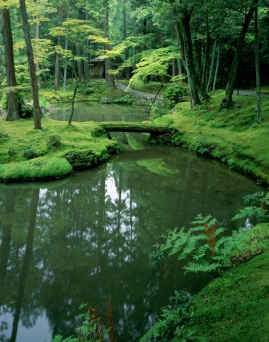 西芳寺の庭 （苔寺）
