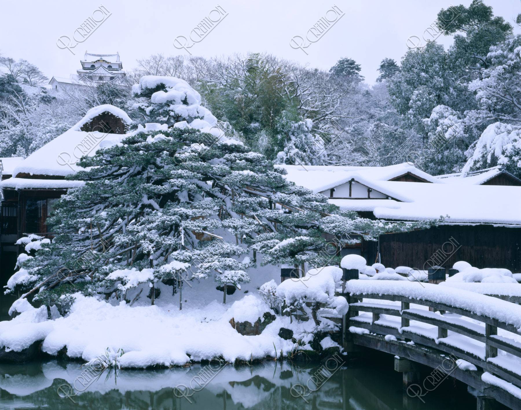 玄宮園と彦根城 雪景