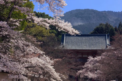 醍醐寺 世界遺産
