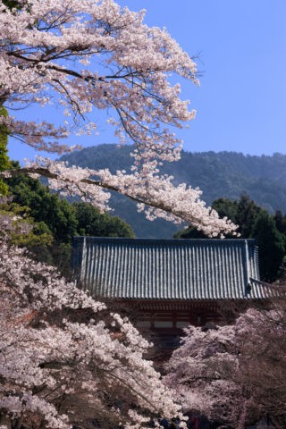 醍醐寺 世界遺産