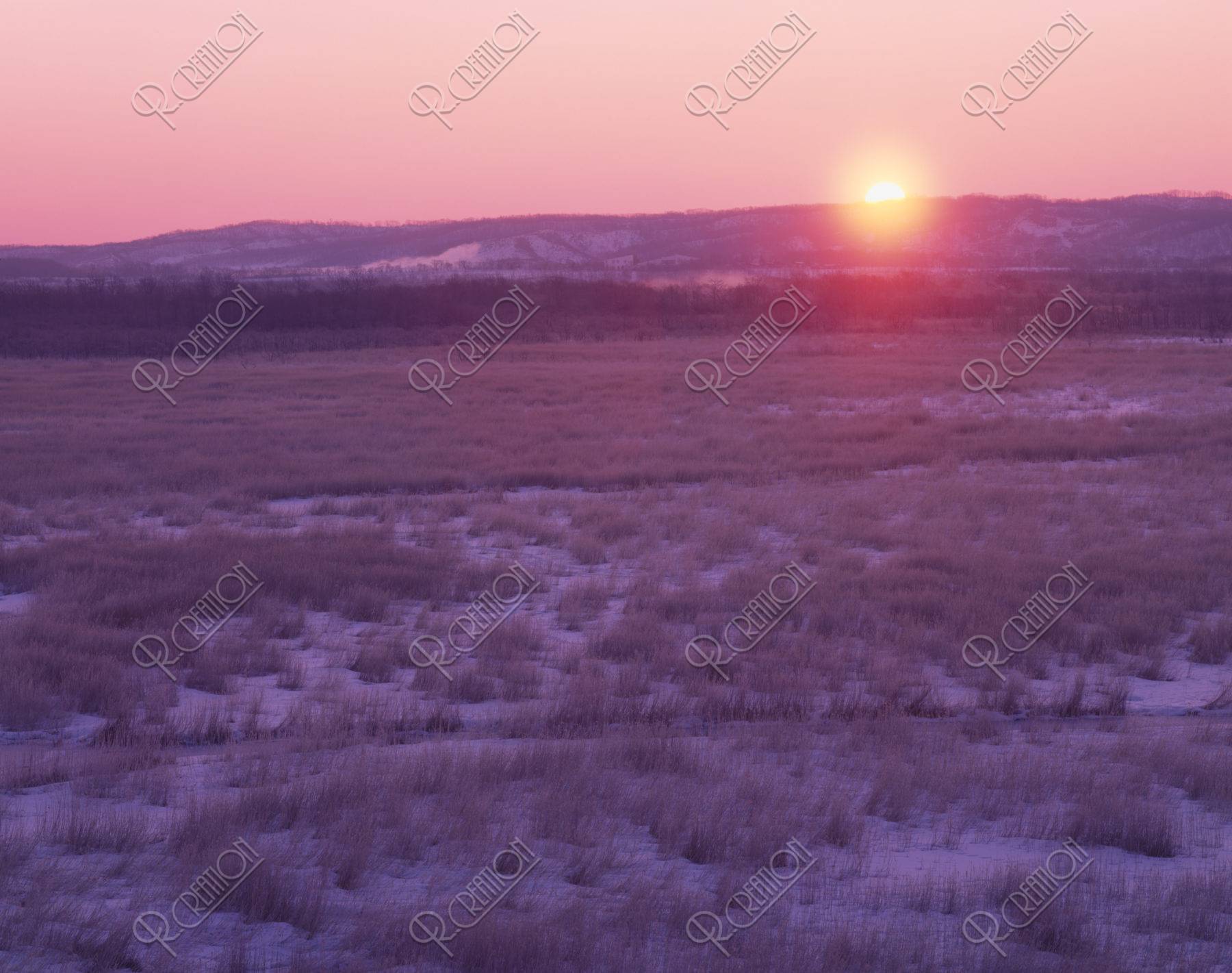 コッタロ湿原の日の出