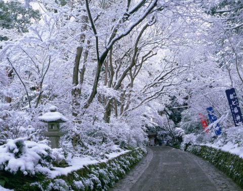 雪の赤山禅院参道