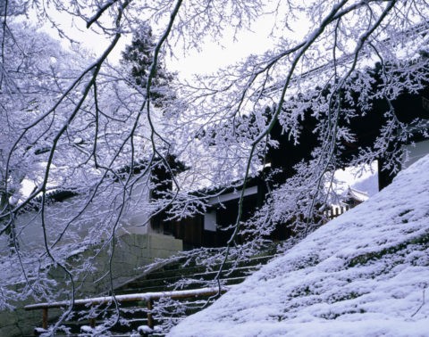 雪の曼殊院 山門