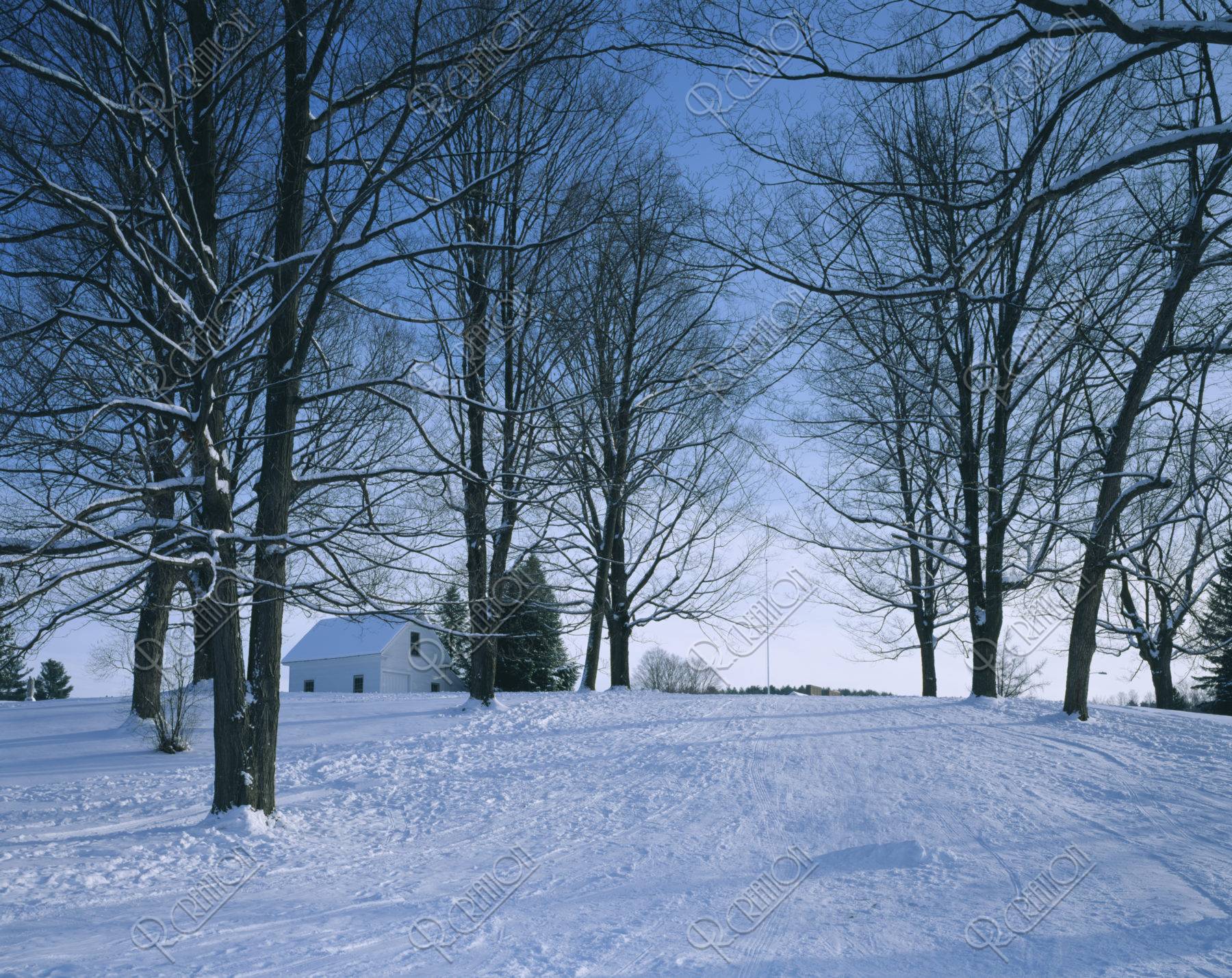 雪の丘と白い家
