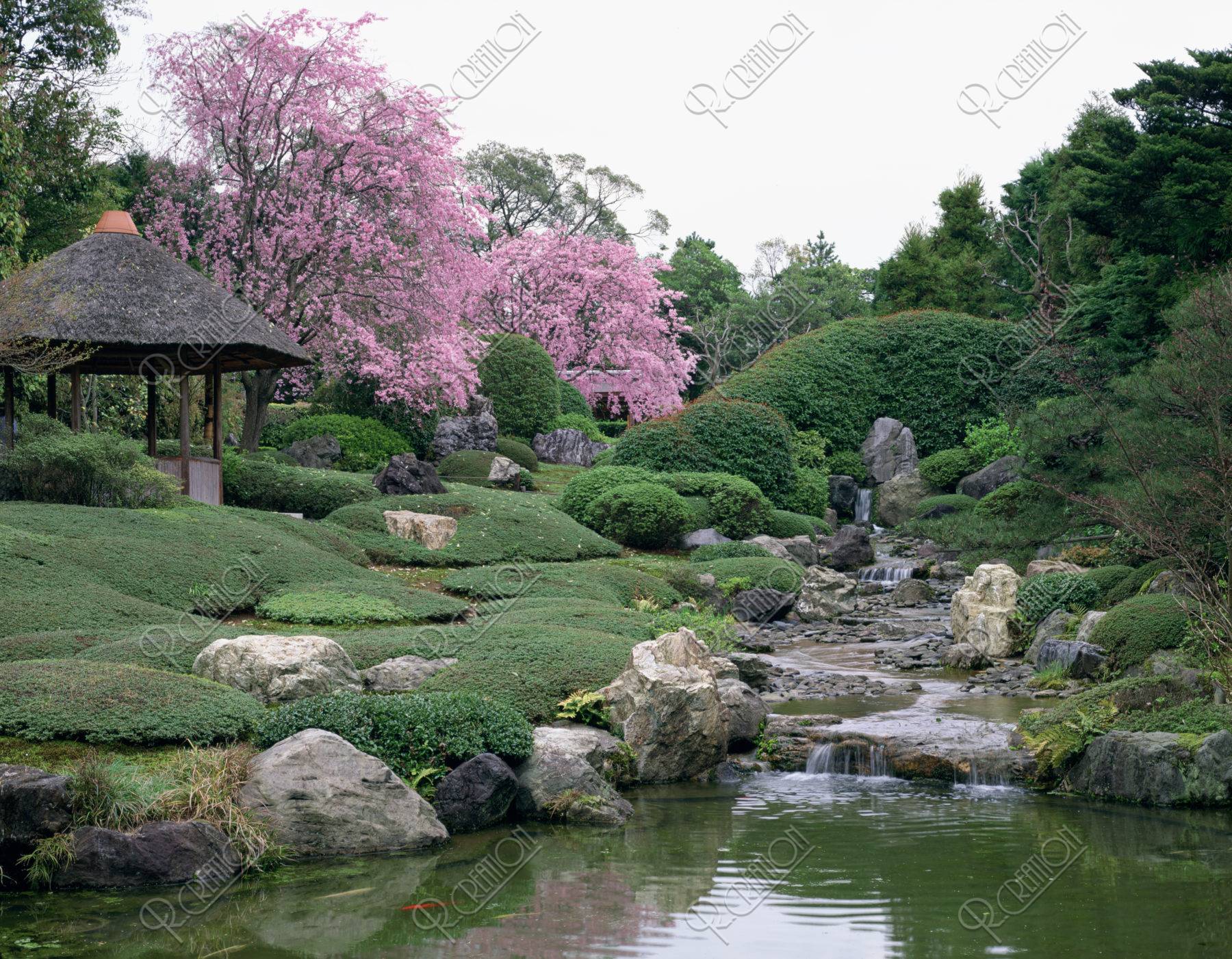 退蔵院の庭園 京都
