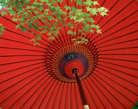紅傘と青楓