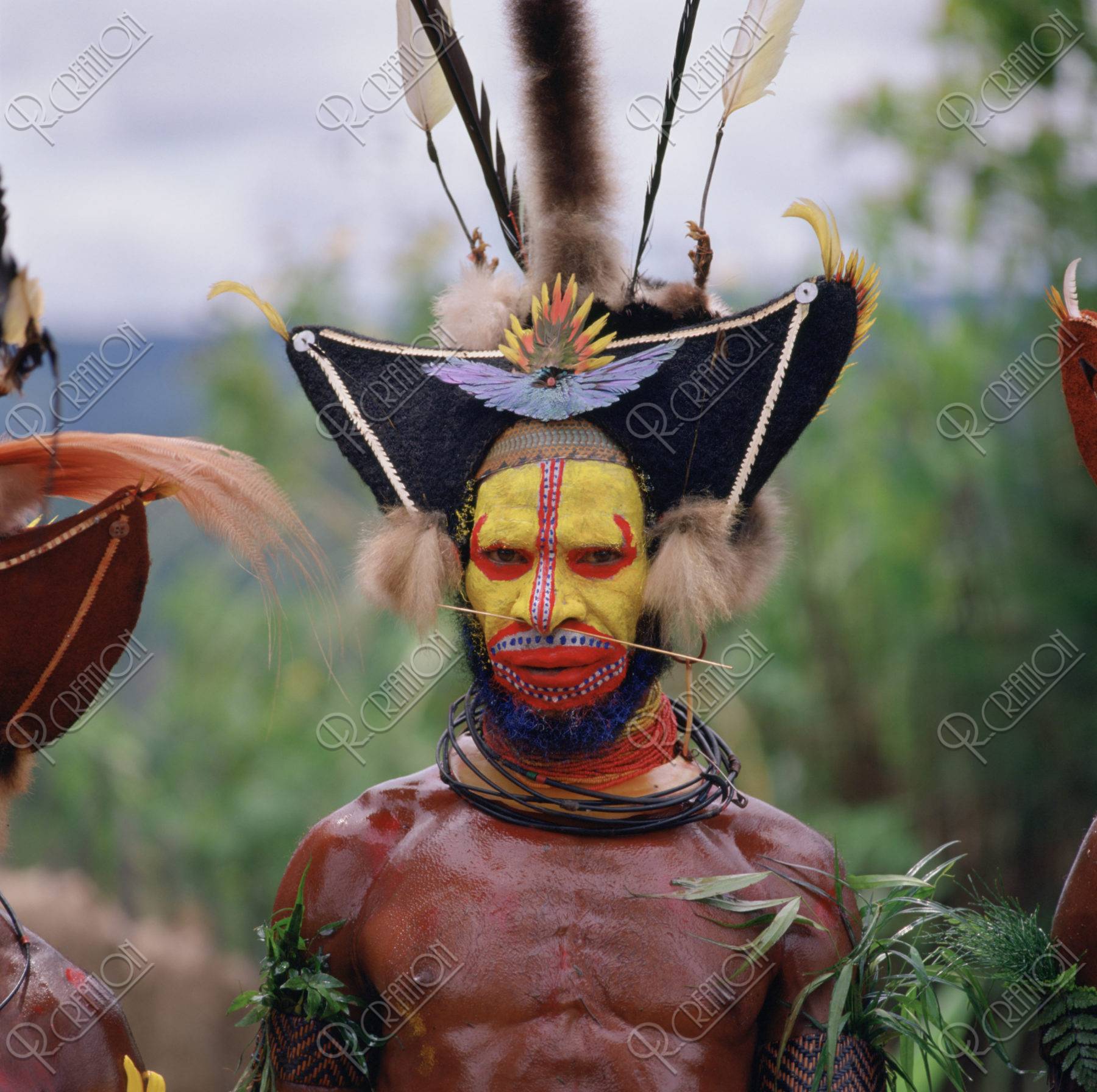 ＨＡＷＡ族 タリ パプアニューギニア