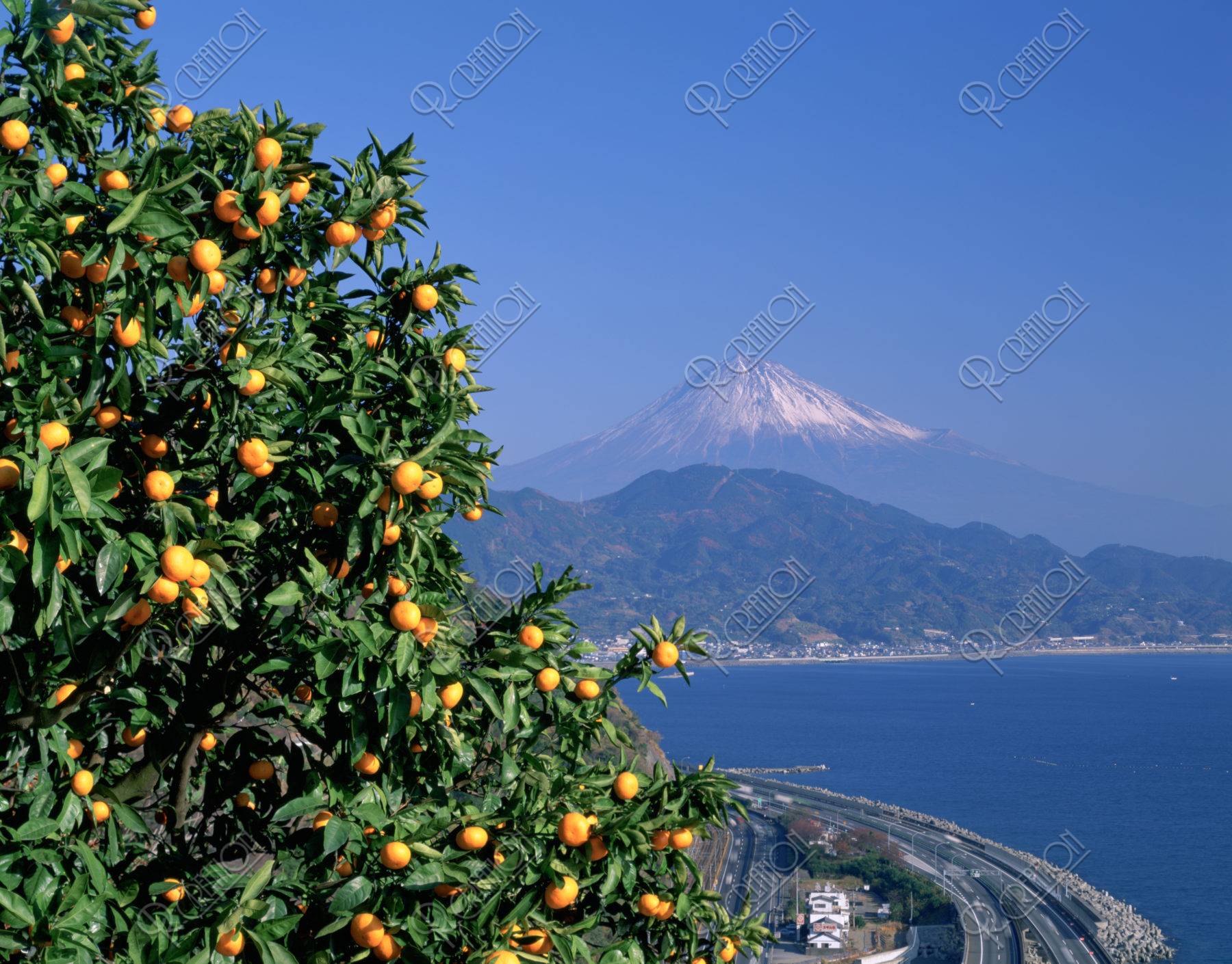 富士と高速道路とミカン
