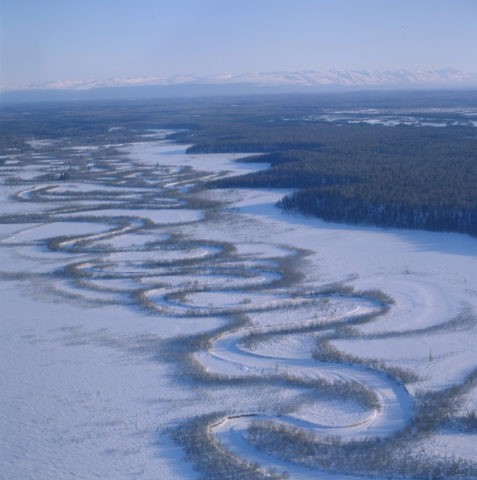 蛇行する凍結した川 アラスカ