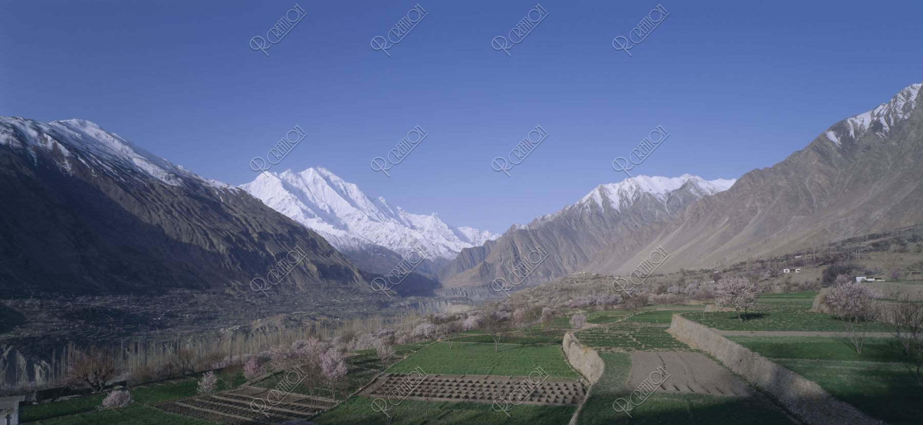 フンザ村の段々畑とラカポシ山 パキスタン