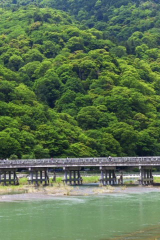 新緑の嵐山 渡月橋