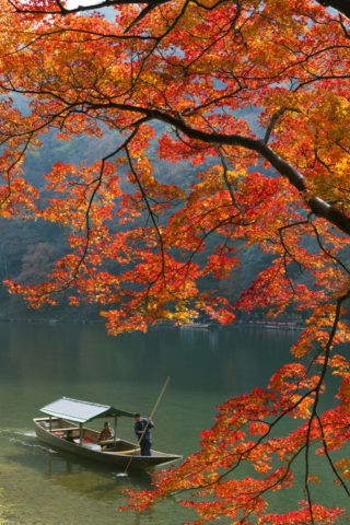 嵐山 紅葉と屋形船