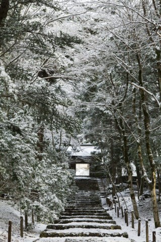 雪の常照皇寺