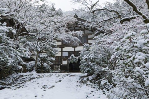 雪の常照皇寺