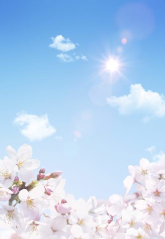 青空と桜に射す太陽の光