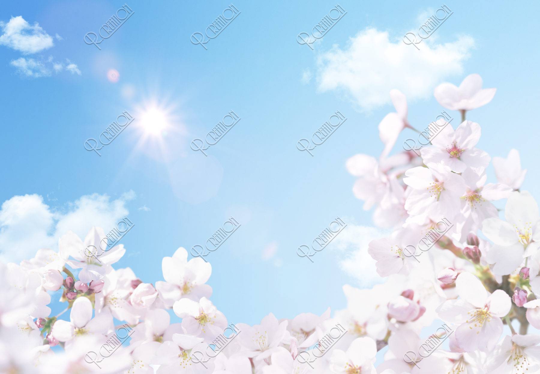 青空と桜に射す太陽の光