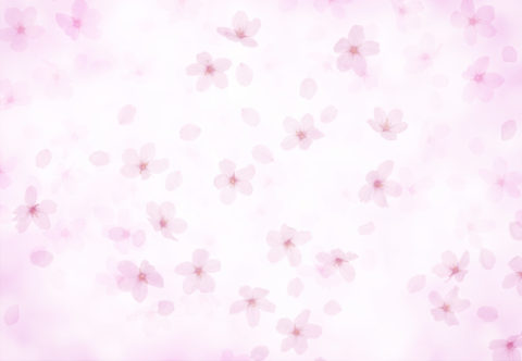 ピンクの光に包まれた桜のイメージ