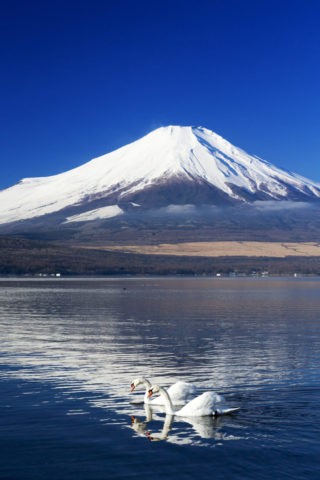 山中湖 富士山