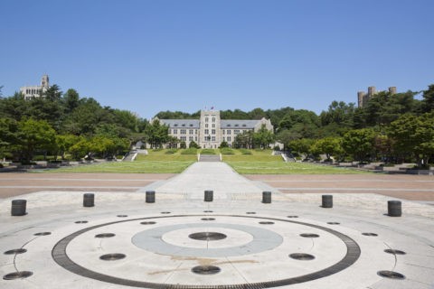 高麗大学