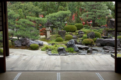 妙満寺 庭園