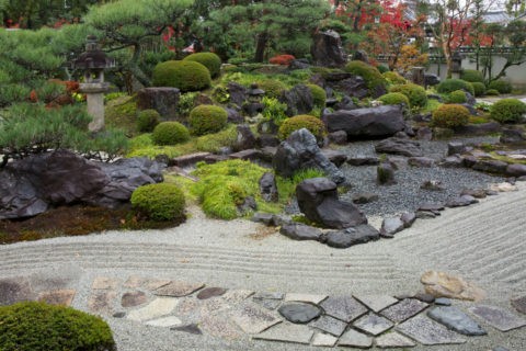 妙満寺 庭園
