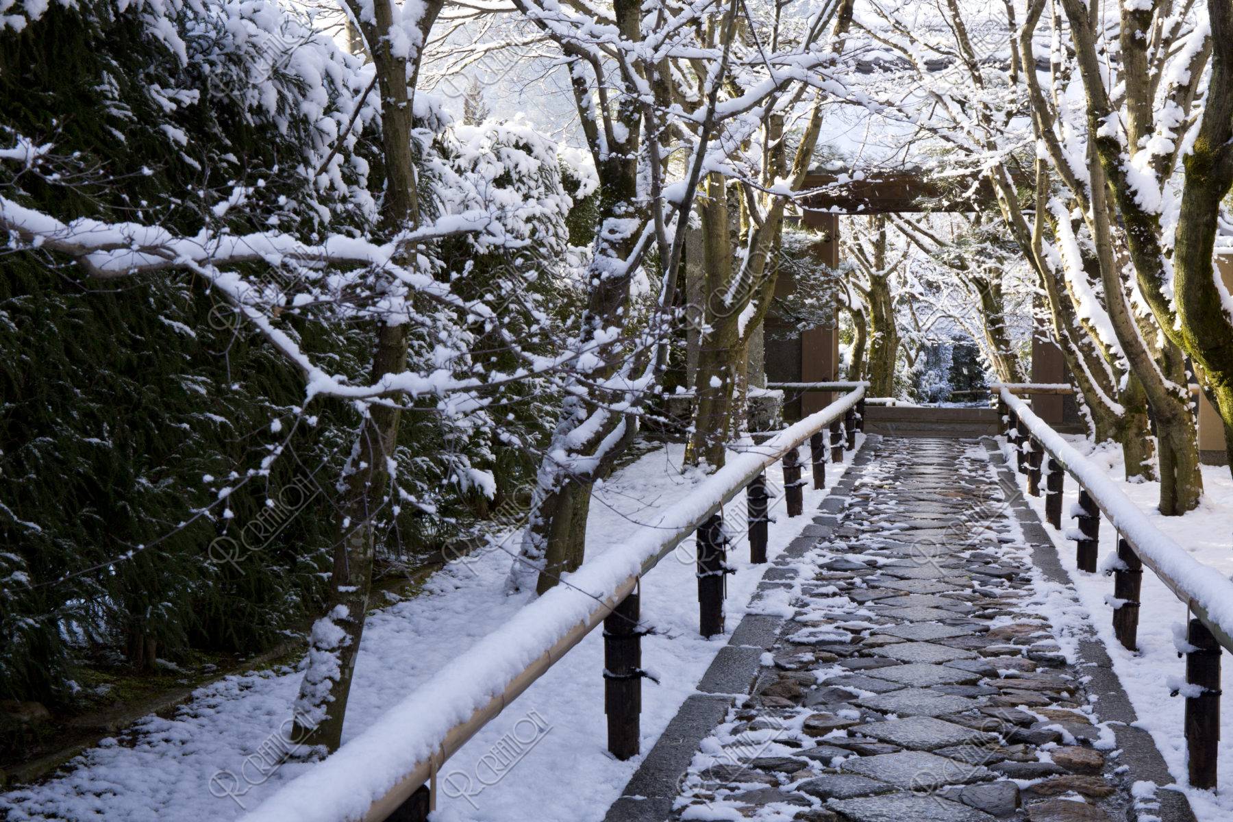 雪の光悦寺参道