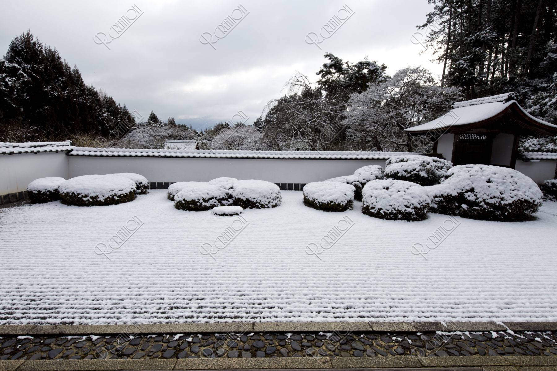 雪の正伝寺庭園