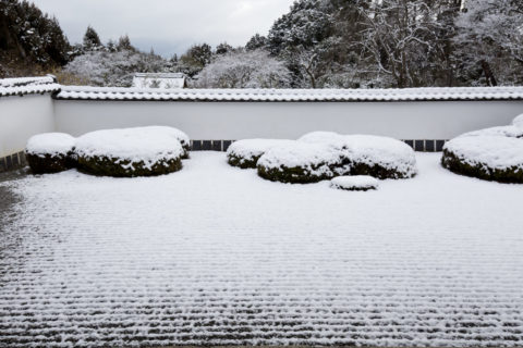 雪の正伝寺庭園