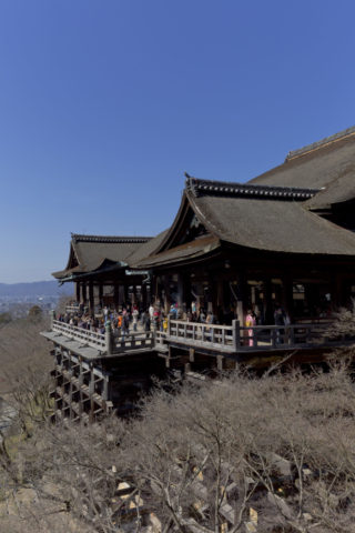 冬枯れの清水寺