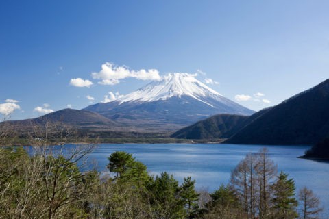 本栖湖 富士山