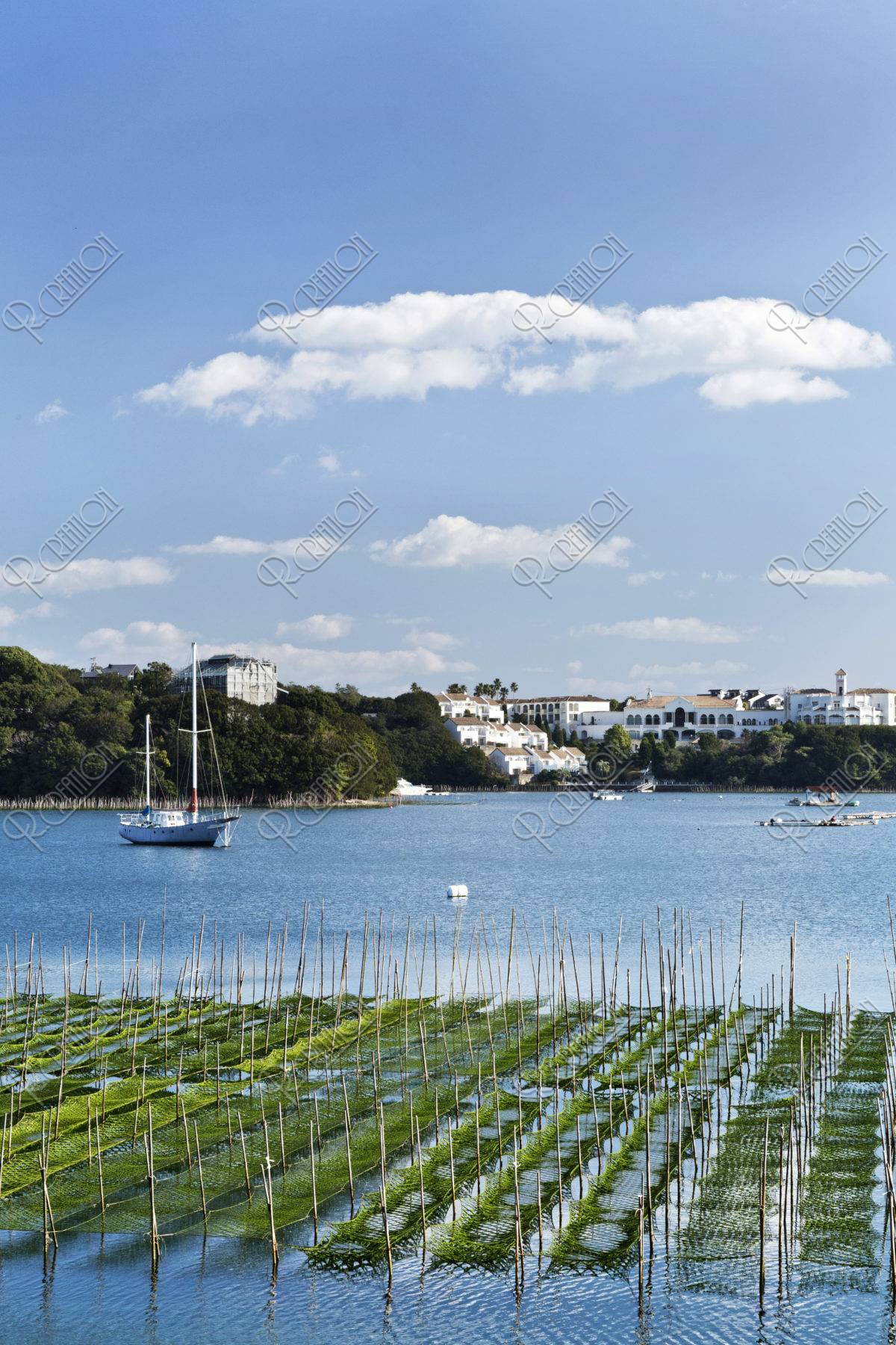 五ヶ所湾 海苔ひび ストックフォト アールクリエーション