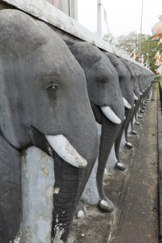 アヌラーダプラ 象の彫刻