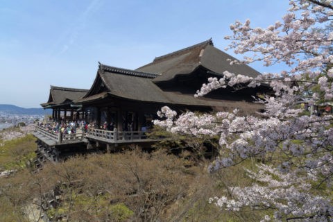 清水寺 桜