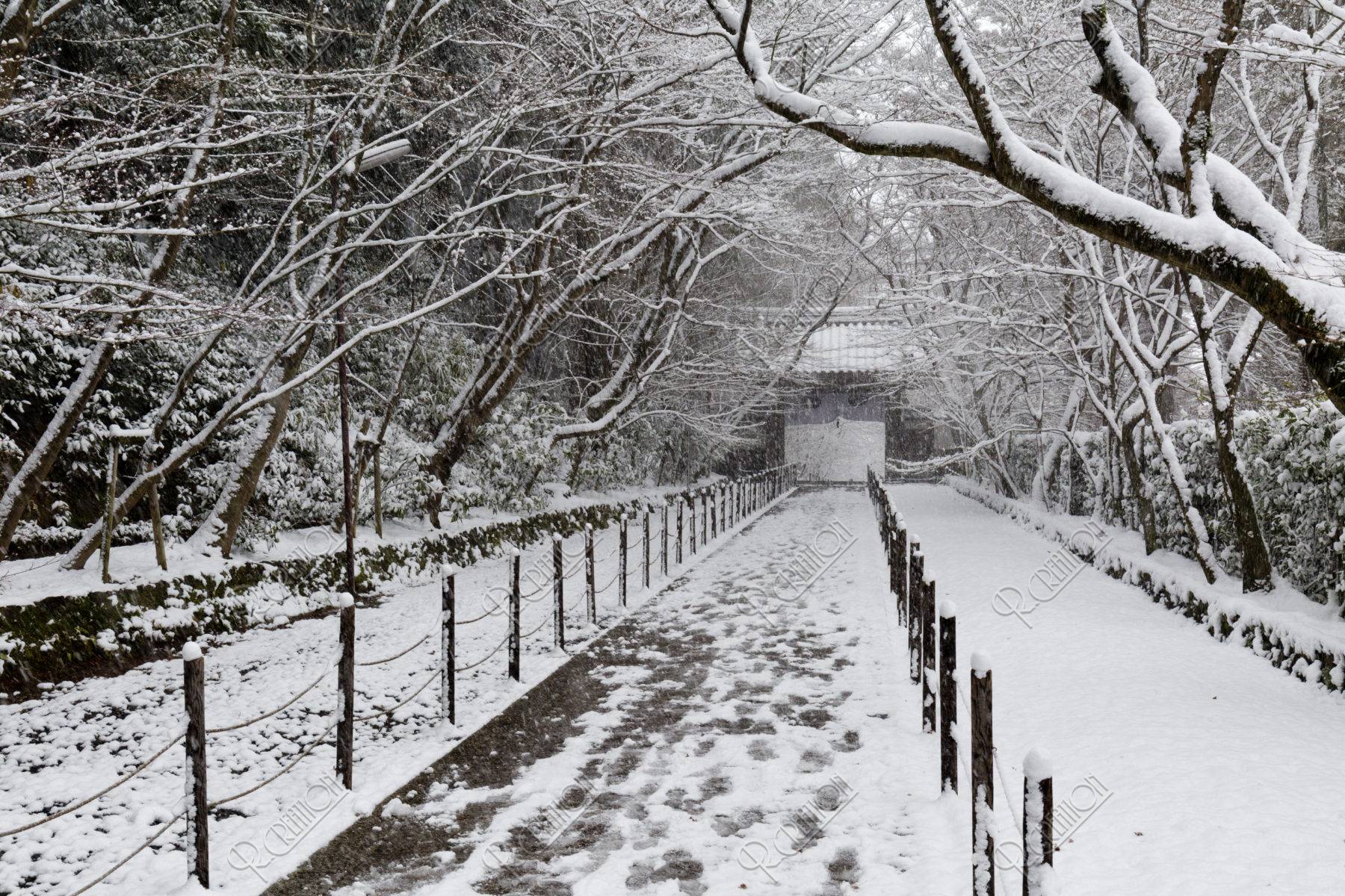 雪の光明寺参道