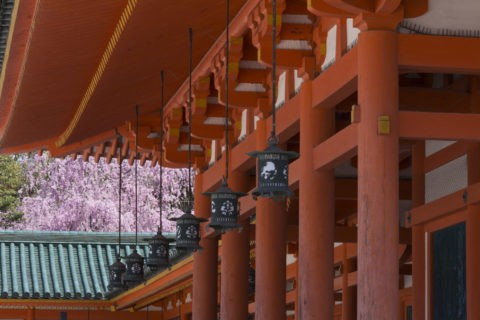 平安神宮 枝垂桜と回廊