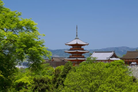 新緑の清水寺三重塔