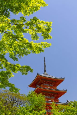 新緑の清水寺三重塔